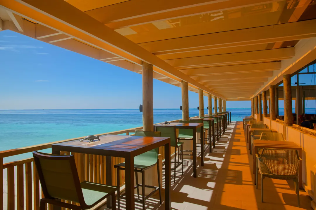 Brand Growth - Image 1