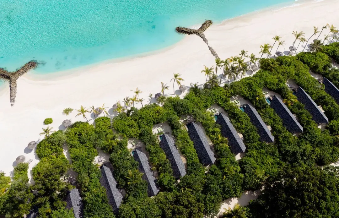 Service Expansion - Image 2