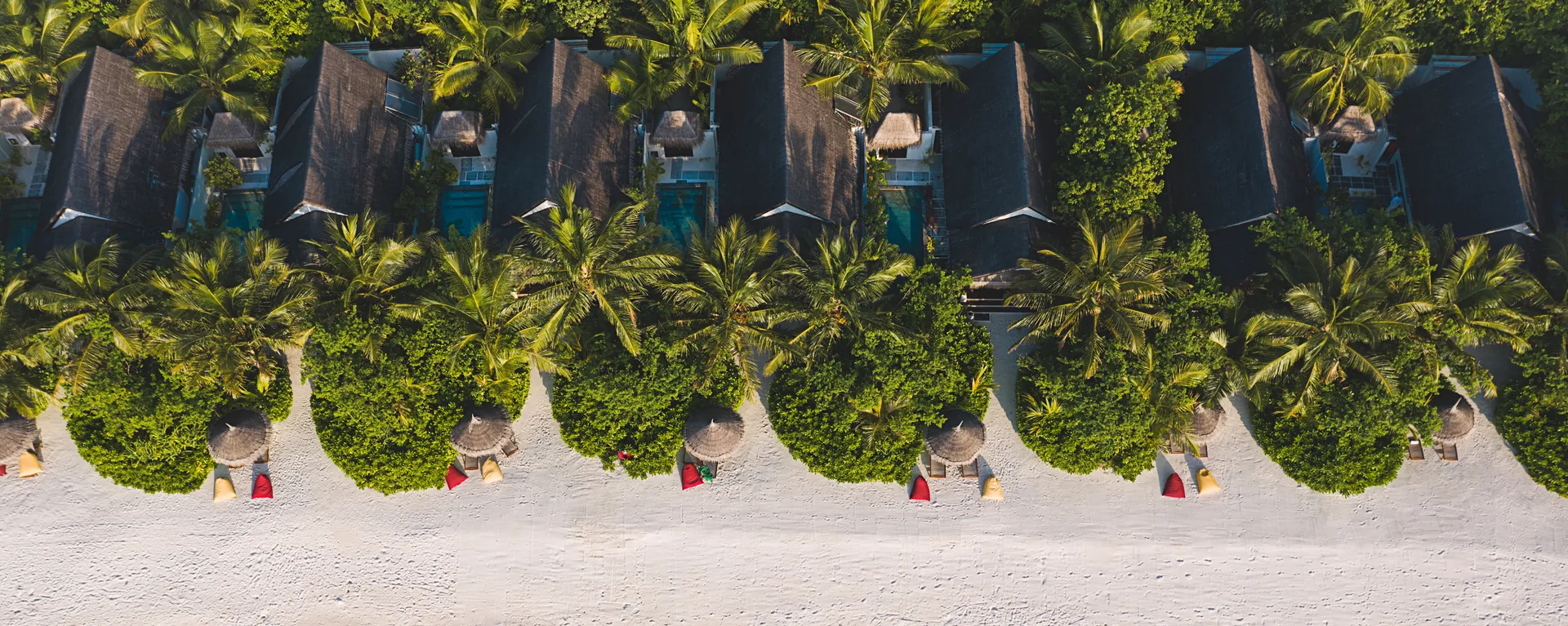 Design & Architecture background