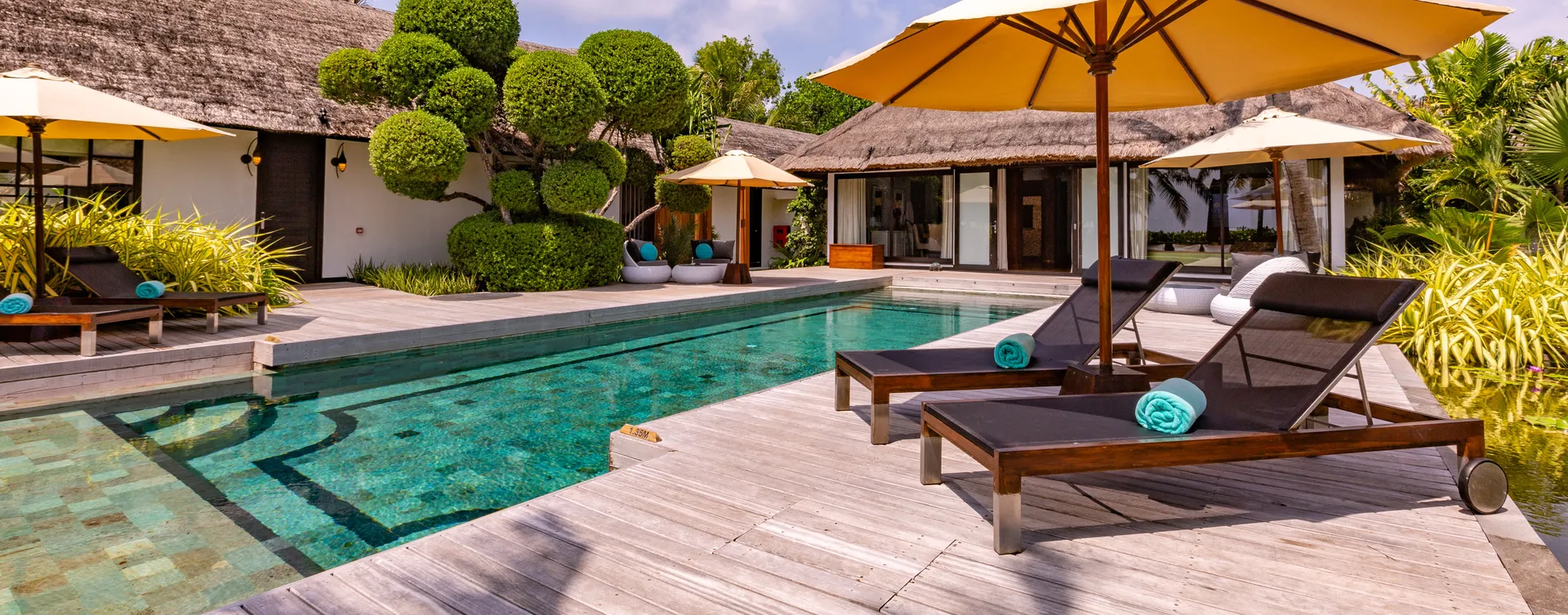 Procurement background