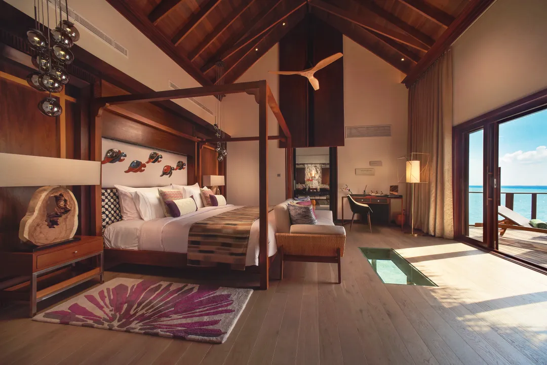 Brand Transition Planning